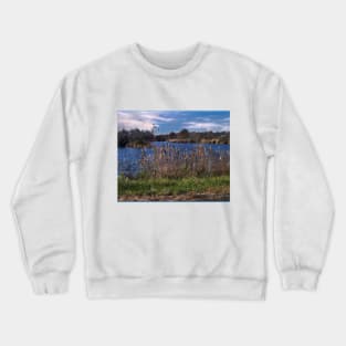 A Nice Day Crewneck Sweatshirt